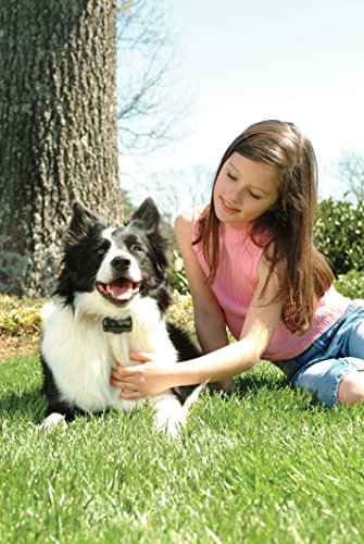 PetSafe-Deluxe-Bark-Control-Collar-PDBC-300-for-Dogs-8-lb-and-Up-Waterproof-3-Modes-of-Static-Correction