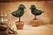 VGIA Artificial potted Plant for Home Decor,Green Bird Boxwood,9.0Inch