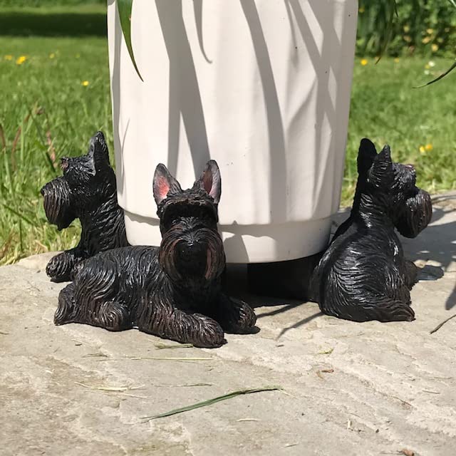 Animal Crackers SET of 3 Scottish Terrier Dog shaped Plant Flower Pot Stands ornament decoration Scotty Dog lover gift
