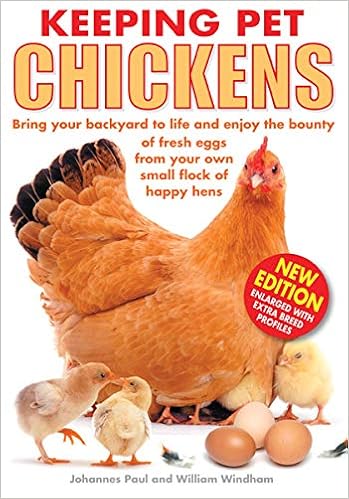 Keeping Pet Chickens Bring Your Backyard To Life And Enjoy The