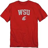 Official Collegiate One Color Arch Adult Unisex T Shirt Collection 2