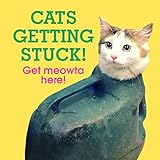 Cats Getting Stuck! by Ebury Press