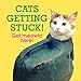Cats Getting Stuck! by Ebury Press