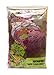 Nickelodeon Teenage Mutant Ninja Turtles I Love TMNT Reversible Comforter for Girls, Twin Pink