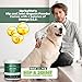 Herbal Vet Glucosamine for Dogs - Certified Organic Hip & Joint Powder Supplement for Dogs & Cats Infused with Hemp Oil Extract - Relieve Joint Pain The Easy Way - 100% All Organic Ingredients(10OZ)