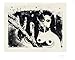 David Lynch: Lithos