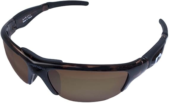 amphibia sunglasses dealers