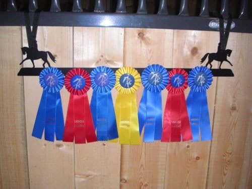 Showoff award racks - Horse
