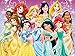 DIY 5D Diamond Painting by Number Kits, Full Drill Diamond Embroidery Kit Home Wall Decor- 15.7×11.8 in Disney Princess