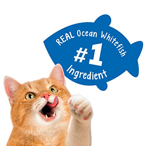 4 Purina+Friskies+Party+Mix+Beachside
