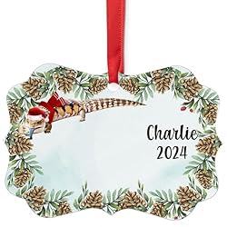 Blue Tongue Skink Christmas Ornament 2024