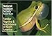 National Audubon Society Pocket Guide to Familiar Reptiles and Amphibians (National Audubon Society Pocket Guides)