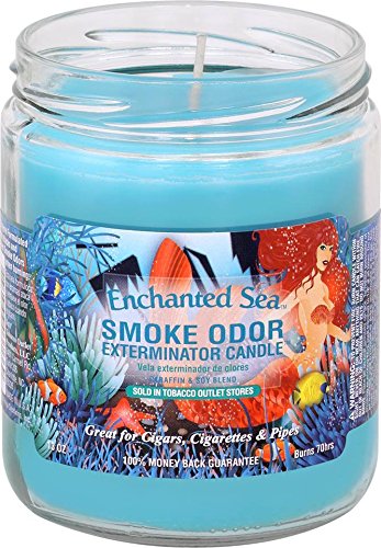 Smoke Odor Exterminator 13oz Jar Candle, Enchanted Sea, 13 oz
