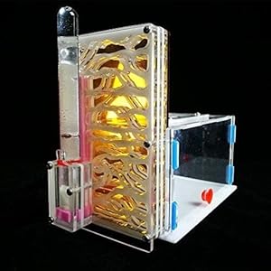 8bayfa Ant Farm Toy Formicaio R1 con Alimentazione Area Ant Farm Acrilico Insetti Gabbie Villa Pet Mania for Casa…