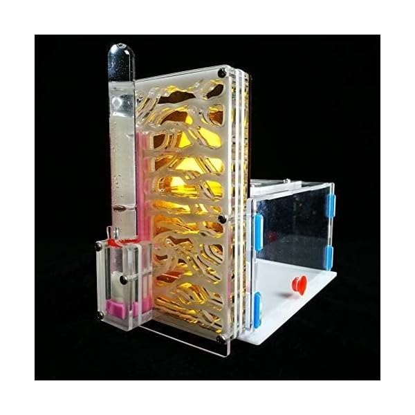 8bayfa Ant Farm Toy Formicaio R1 con Alimentazione Area Ant Farm Acrilico Insetti Gabbie Villa Pet Mania for Casa…