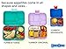 Yumbox Tapas Leakproof Bento Lunch Box - 5-Compartment Bento Container for Adults and Kids; Large Size 9.5x6.9x1.8; BPA-Free, Leakproof & Easy Clean; Lunch Box Kids (Antibes Blue)