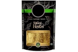 DH Phellinus Linteus Mushroom Powder - Pure & Natural (100 Grams)