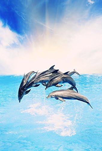 Game Wallpaper Photo Wall Mural The Dolphins 170x250 cm Pictures Border Poster Tattoos Dolphins Photo Wallpaper Wall Mural