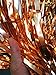 ShiDianYi Metallic Foil Fringe-Backdrops- Tinsel Party/Window/Door Decorative Fringe Curtains (3FTX8FT, Rosegold)