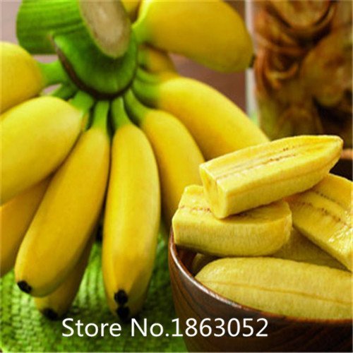 HOO PRODUCTS - 200pcs/bag imported banana seeds, milk taste,beautiful delicious fruit seeds Flower Seeds Hot Sale! HOO PRODUCTS - 200pcs/bag imported banana seeds, milk taste,beautiful delicious fruit seeds Flower Seeds Hot Sale!