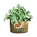 PANACEA PRODUCTS 30 gallon Grow Bag Potatoes – 84388thumb 3