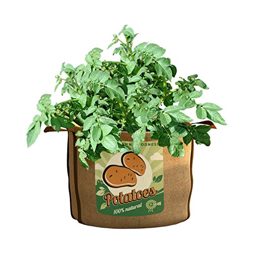 PANACEA PRODUCTS 30 gallon Grow Bag Potatoes – 84388