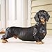 Collections Etc Realistic Cute Dachshund Statue, Hand-Painted Home Decor for Front Porch or Foyer - Indoor or Outdoor Figurine for Dog Lovers, Black