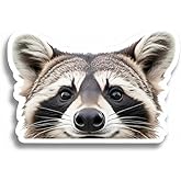 Rocking Raccoon Sticker, Pack of 2, Funny Raccoon Car Decal, 5-Inches (Casual)