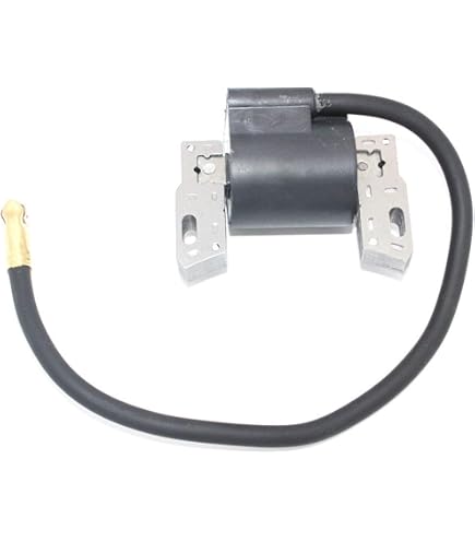 yc① Chinese Ignition Coil 1C for 125-250cc Sport ATVs by
