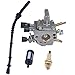 HIPA Carburetor + Fuel Line / Filter + Spark Plug for STIHL FS120 FS200 FS250 String Trimmer