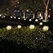 Solar Garden Lights Outdoor, 4 Pack Warm White Solar Powered Decorative Stakes Night Lights with Dandelion Flower, LED Landscape Lighting for Garden/Yard/Lawn/Patio/Walkway/Driveway/Backyard