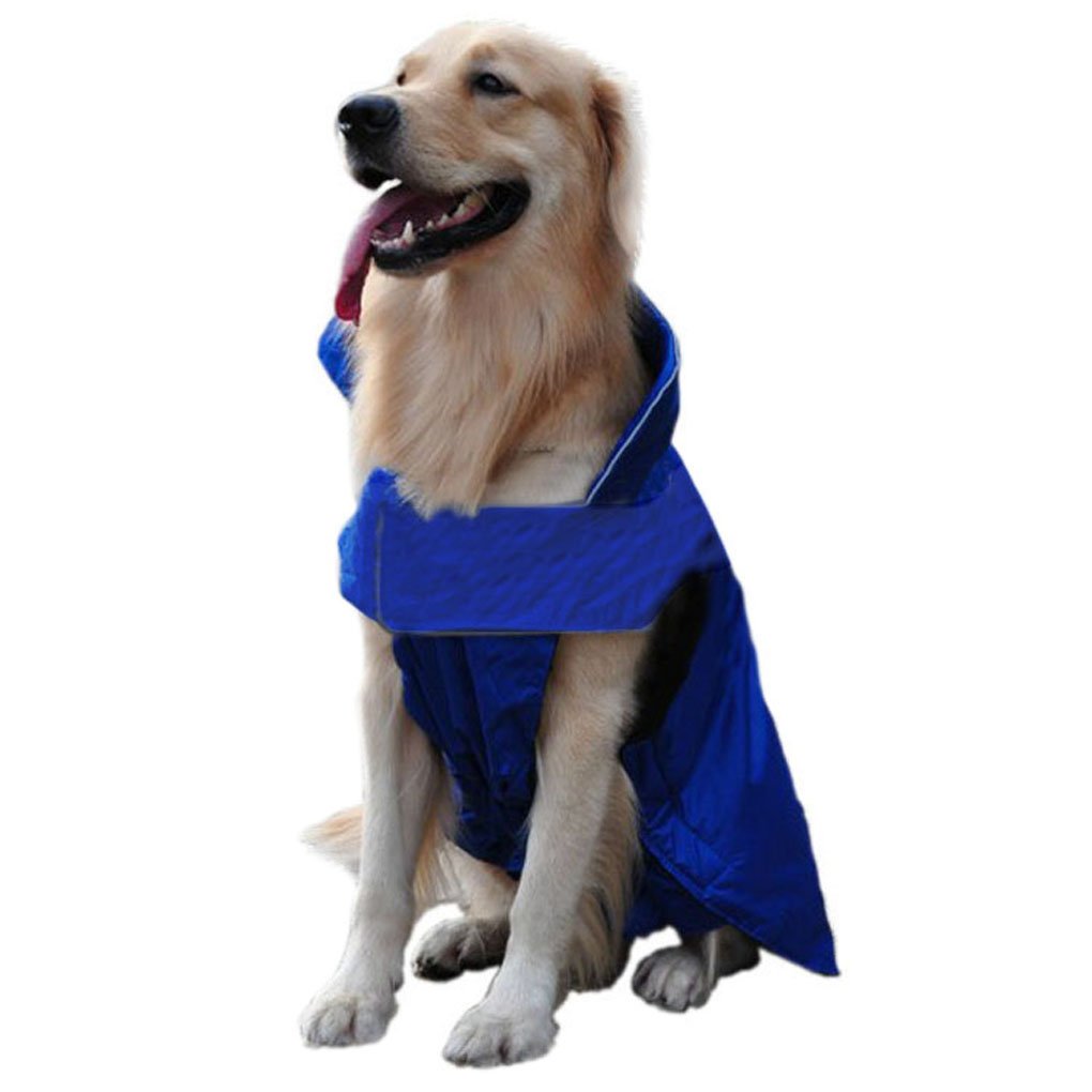 дождевик для собаки. одежда для собак витрина. одежда для собак садовод. аксессуары для домашних питомцев. зимняя жилетка для собаки.