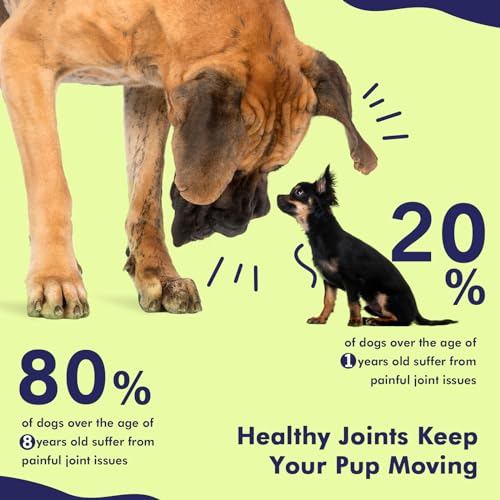 AHALEA MOBILITY BITES DOG JOINT SUPPLEMENT – HIP AND JOINT CHEWS FOR DOGS – PET PRODUCTS WITH GLUCOSAMINE, CHONDROITIN, & MSM + VITAMINS C AND E FOR DOG JOINT RELIEF 60 CT