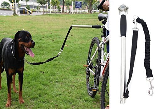 Dog Bicycle Exerciser Leash, Hands Free Dog Leash, Stainless Steel