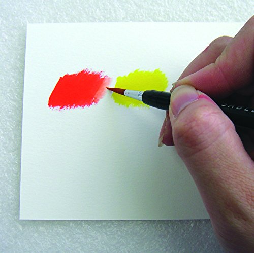 Akashiya CA200/20V  Sai Watercolor Brush Pen - 20 Color Set (1, DESIGN 1)