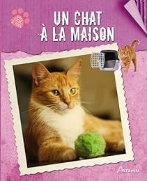 Un  chat à la maison