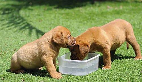 PETRocks™ Dog Water Bowl Mineral Rocks 4.8kg Bulk Pack - For the prevention of pet urine burn on grass lawns & gardens