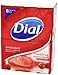 Dial Skin Care Bar Soap, Power Berries, 4 Ounce, 16 Bars