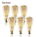 NEW Edison Vintage Bulbs - 6 pack - Senbao Bulbs - 60W Incandescent - Clear Glass - ST64 Squirrel Cage - Dimmable