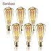 NEW Edison Vintage Bulbs - 6 pack - Senbao Bulbs - 60W Incandescent - Clear Glass - ST64 Squirrel Cage - Dimmable