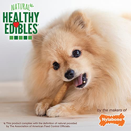 Nylabone Healthy Edibles AllNatural Long Lasting Chicken Flavor Dog Chew Treats 8 count Chicken