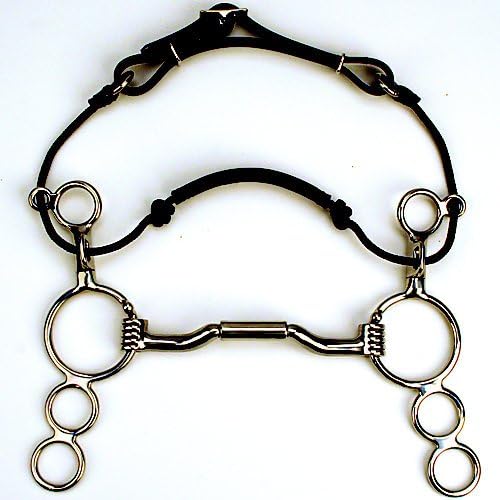 Myler 3-Ring Combo FWD Tilt Ported Barrel Bit 5.5