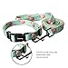 Ihoming Pet Collar Leash Set Halloween Bat Combo Safety Set for Daily Outdoor Walking Running Training Small Medium Large Dogs Cats Floral-Spring Mediumthumb 2