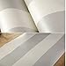 QIHANG Modern Minimalist Non-Woven Vertical Stripes Wallpaper Roll for Living Room Cream&Silver Color 0.53m(1.73'W) x 10m (32.8')=5.3㎡ (57 sq.ft)