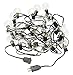 Radiance Clear String Globe Lights, 25 ft, Black Wire, G40 Bulb