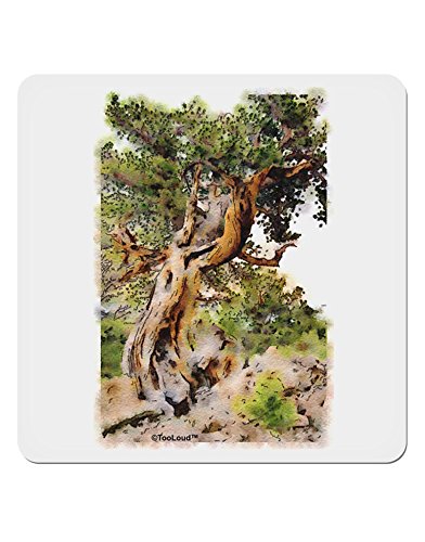 TOOLOUDTOOLOUD Bristlecone Pines 4x4 Square Sticker - 4 Pack