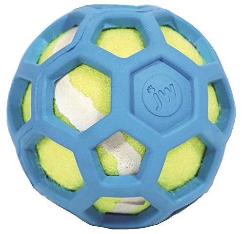 JW Pet Company 42204 Proten Hol-ee Roller Lime Green Tennis Ball, Assorted Colors (Small, Green/Red/Blue)