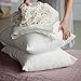 Lausonhouse Luxurious 100% Pure French Linen Sheet Set - Queen