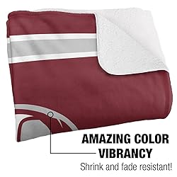 Aquinas College Saints Primary Logo Stripes Sherpa