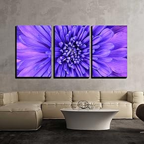 3 Piece Canvas Wall Art - Detail of Blue Chrysanthemum Flower Head Closeup Background - Modern Home Art Stretched and Framed Ready to Hang - 16"x24"x3 Panels